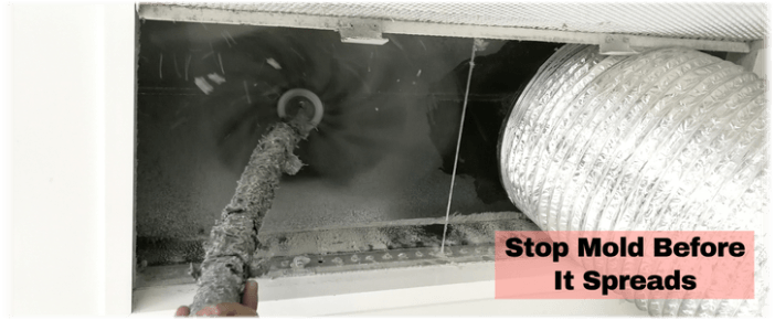 Air Duct Mold Removal in Red Bank NJ