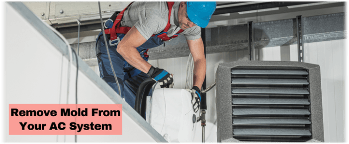 HVAC Mold Removal Red Bank NJ
